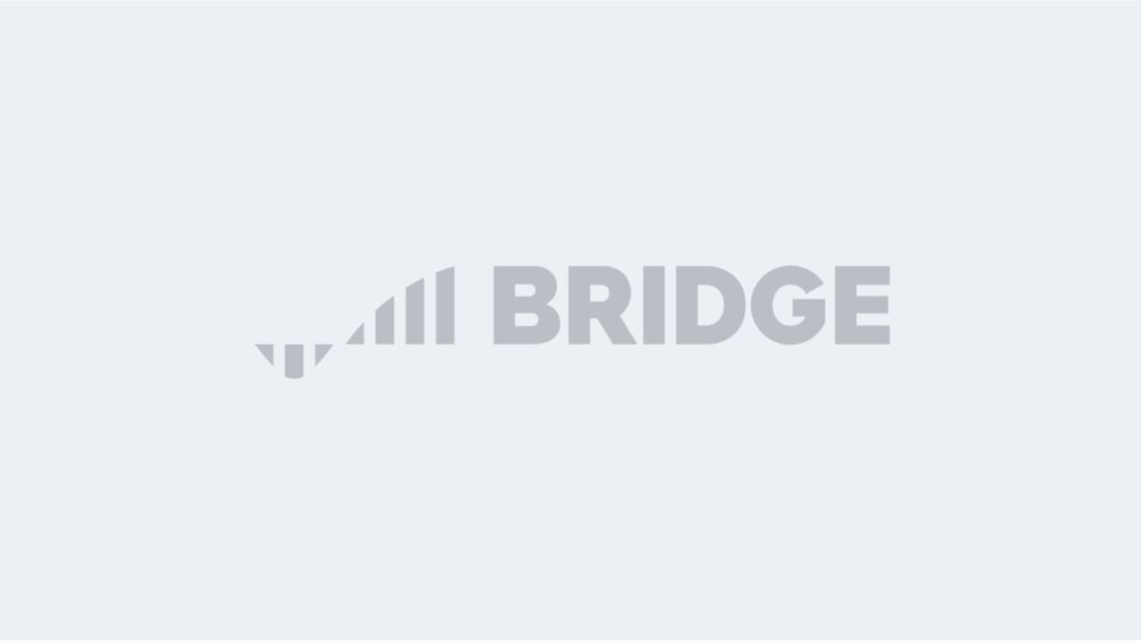 Bridge-Portfolio-Placeholder